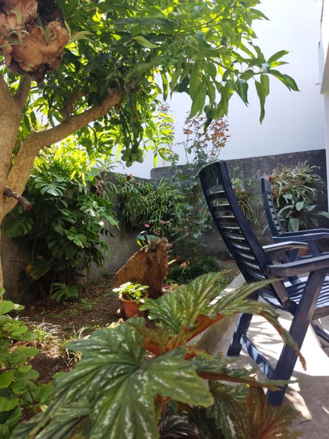 Casa Da Avo Rosa Apartment São Vicente Екстериор снимка
