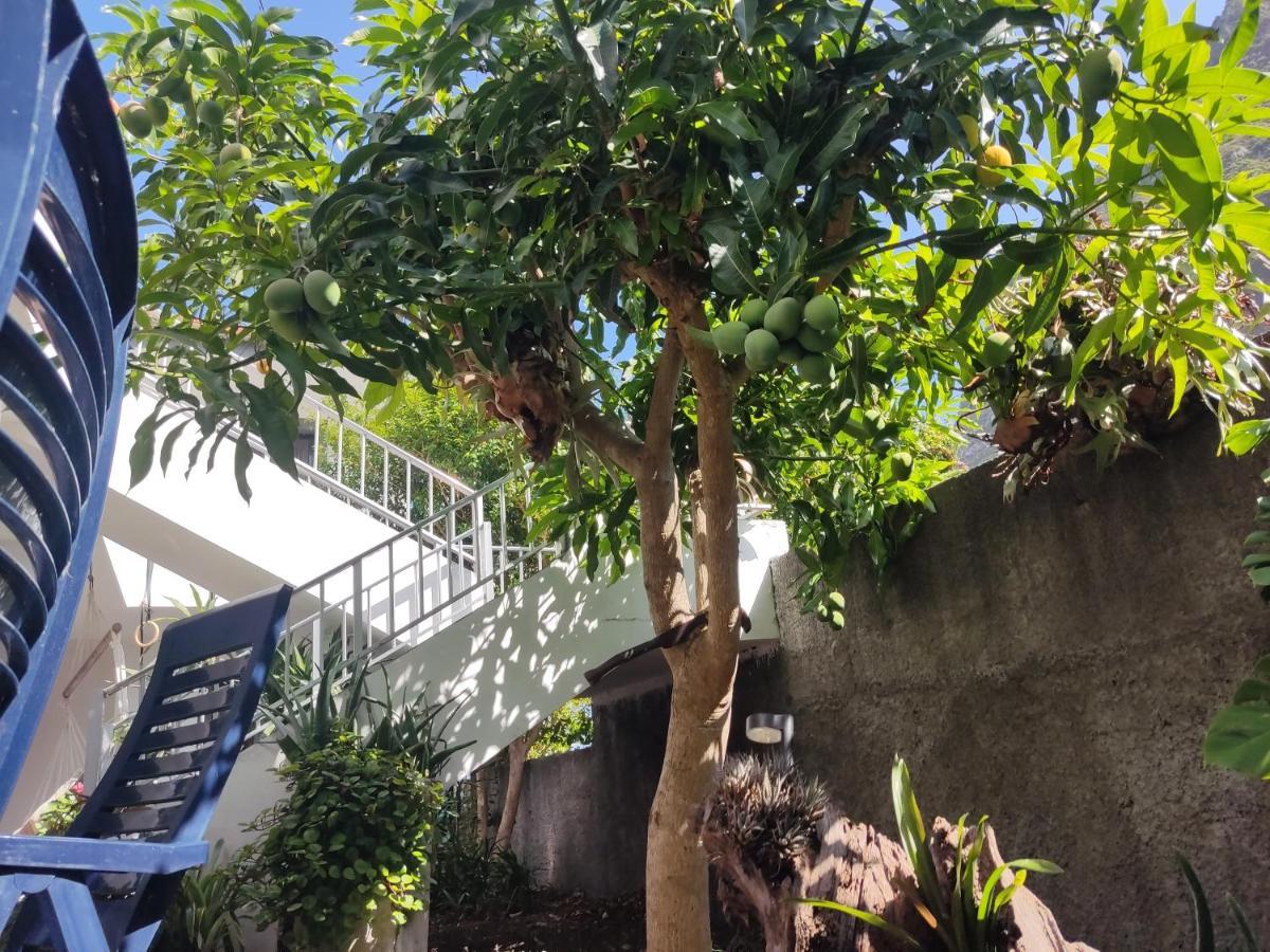 Casa Da Avo Rosa Apartment São Vicente Екстериор снимка