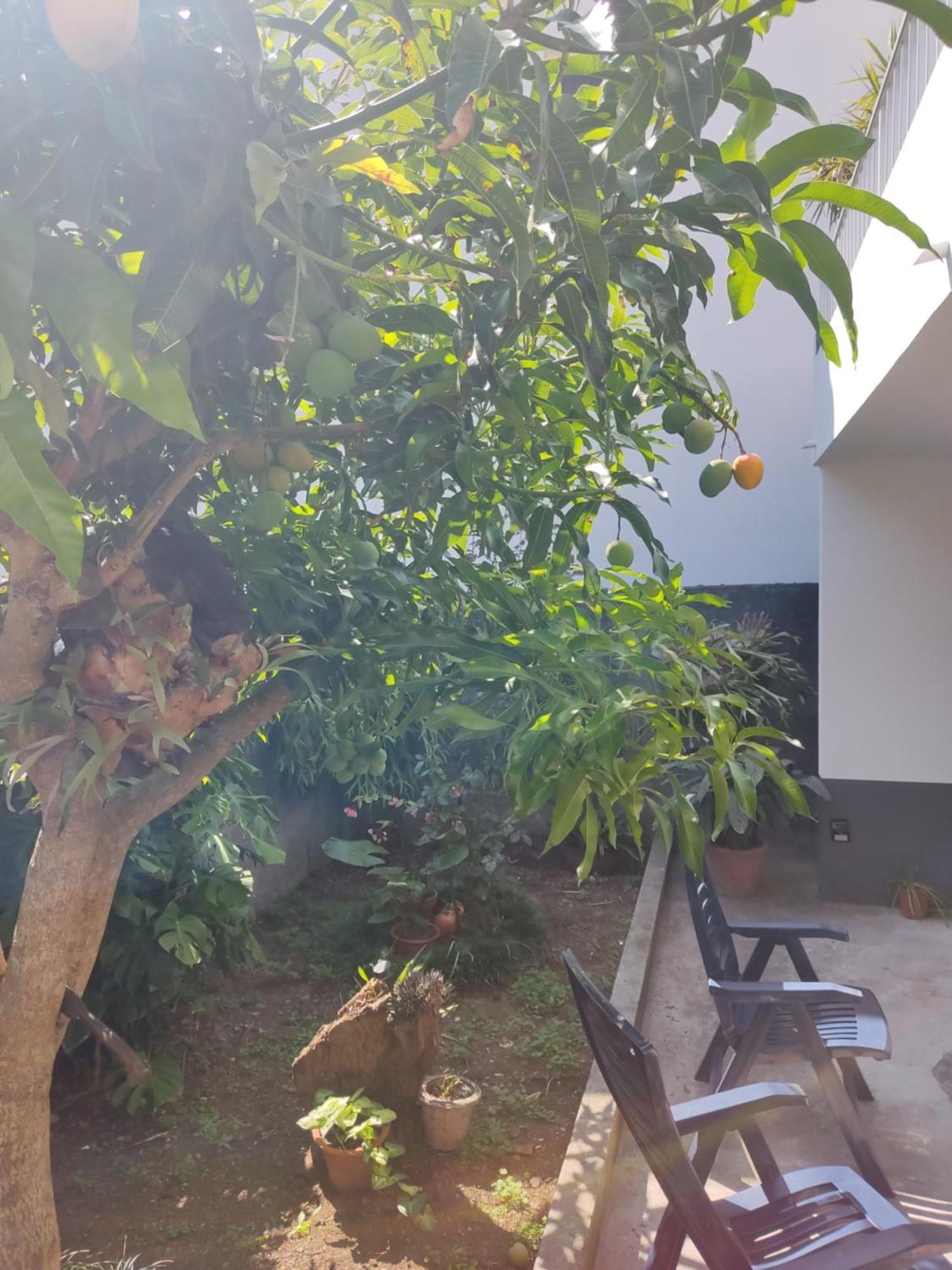 Casa Da Avo Rosa Apartment São Vicente Екстериор снимка